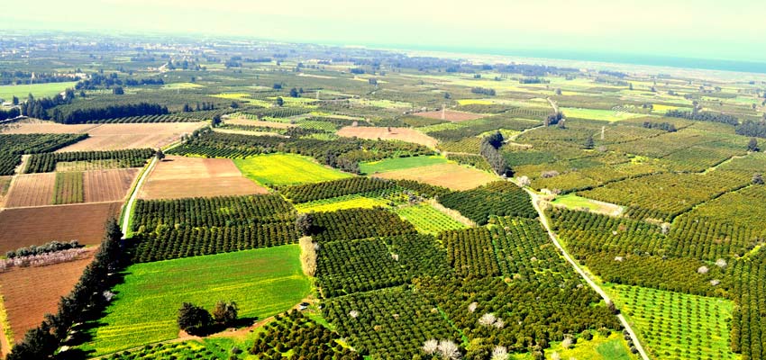 Guzelyurt - Morphou, North Cyprus