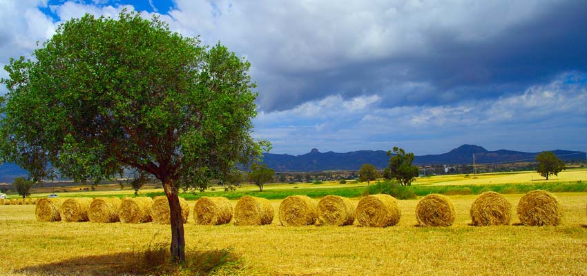 Villages of North Cyprus