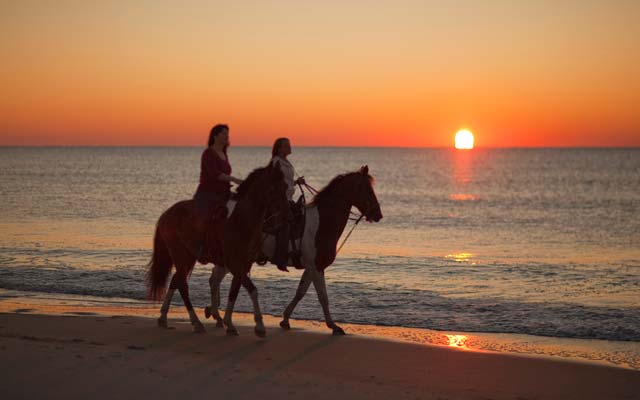 North Cyprus Horse Riding